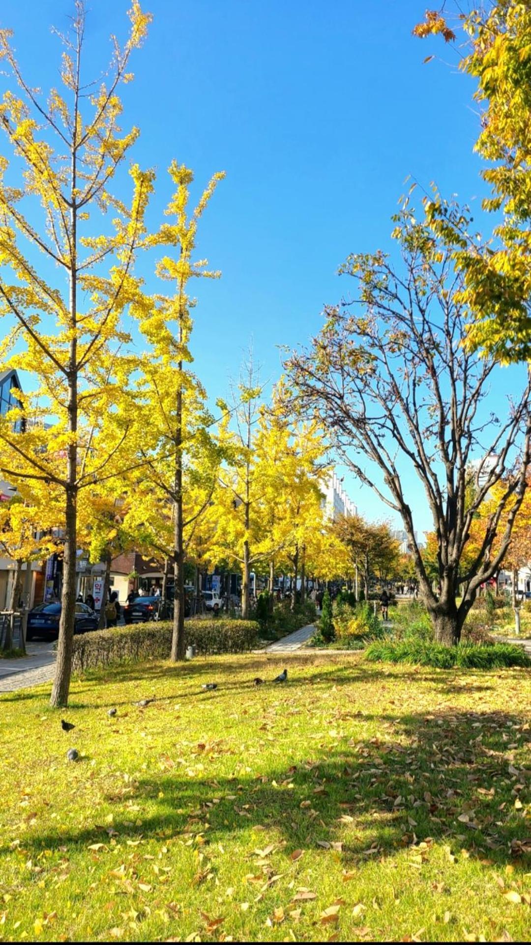 Yeonnam House Guest house Seoul